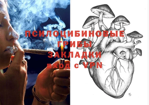 трава Бронницы