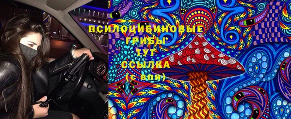 jwh Бородино