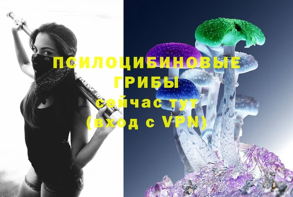 mdpv Бугульма