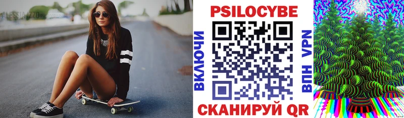 Псилоцибиновые грибы Psilocybe  купить наркоту  Весьегонск 